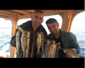 kapak_levrek_avi kapak_levrek_avi